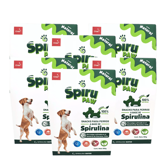Pack 6 Snack para perros a Base de Spirulina