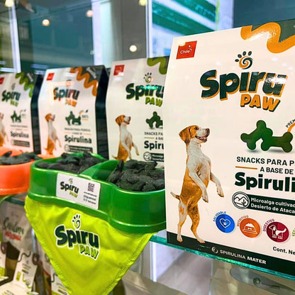 Pack 6 Snack for dogs based on Spirulina Aroma Quesillo